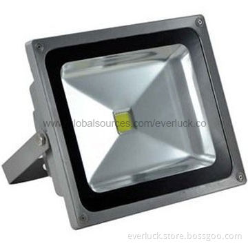 100W High-power LED Floodlight with 100 to 240V AC Input Voltage